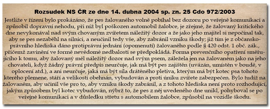 rozsudek-autonehoda.jpg