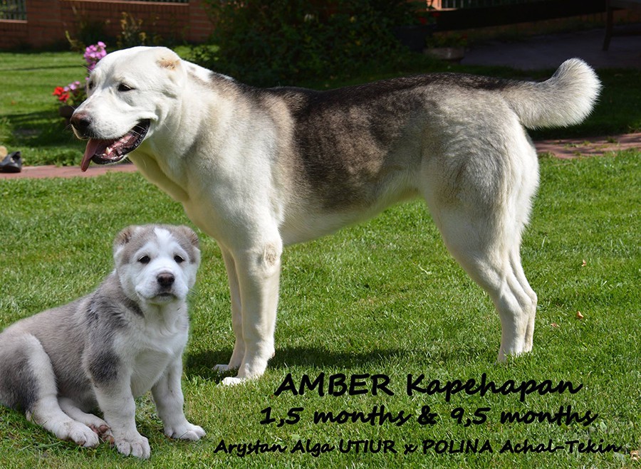 amber-9-months.jpg