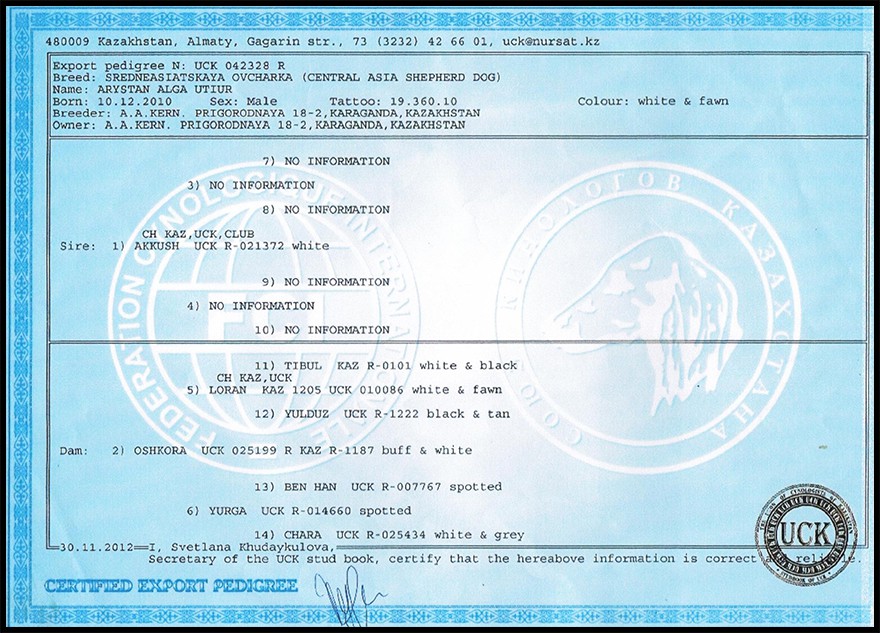 pedigree-20utiur-20001a.jpg