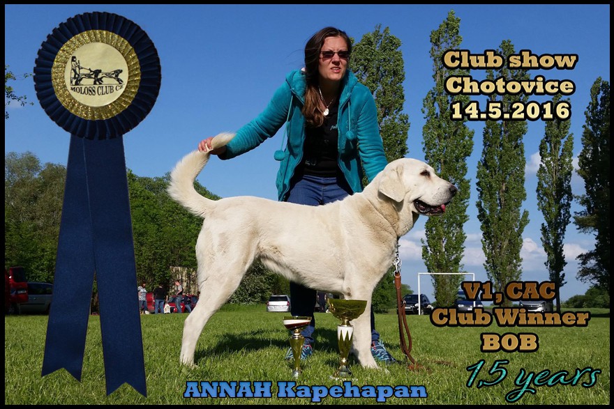 annah-kapehapan-1-18.jpg