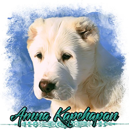 tlacitko-amna.jpg