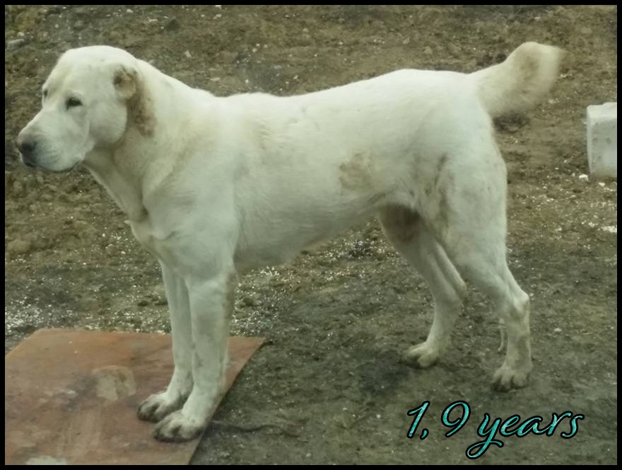 amna-kapehapan-1-9years.jpg
