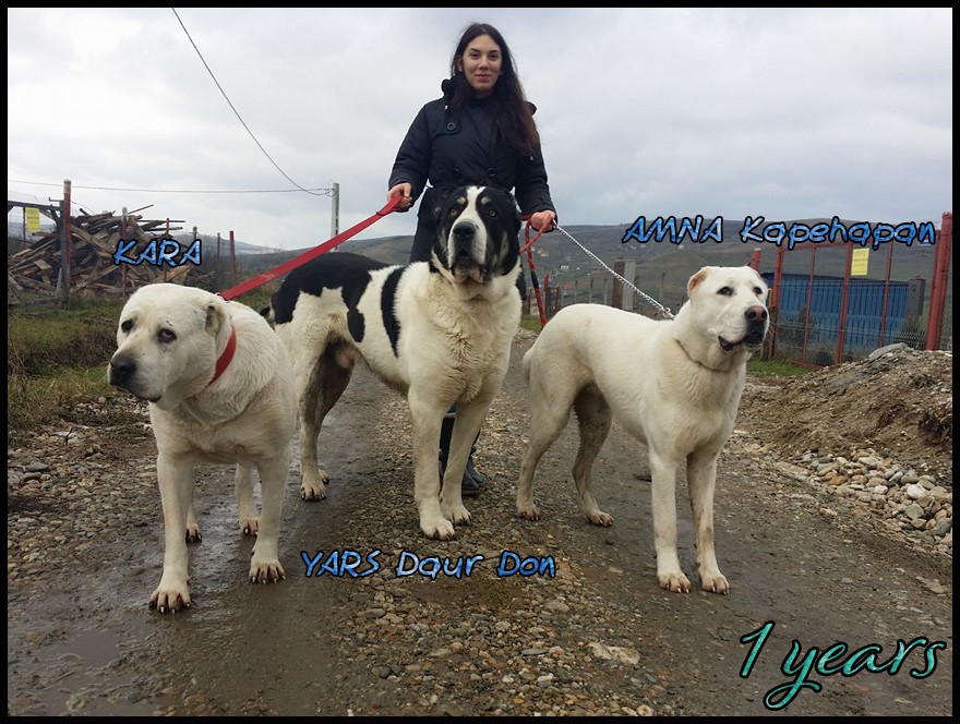 amna-kapehapan-1y.jpg