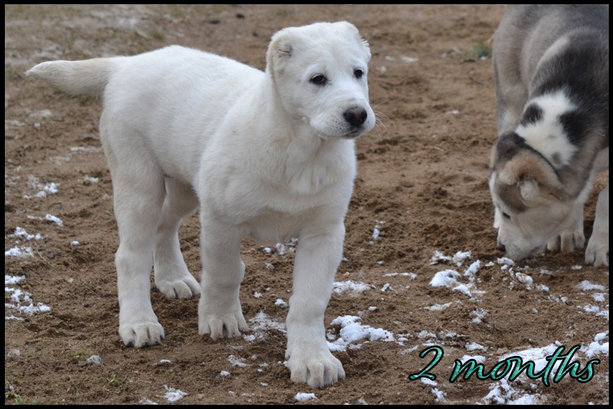 amna-kapehapan-2mo.jpg