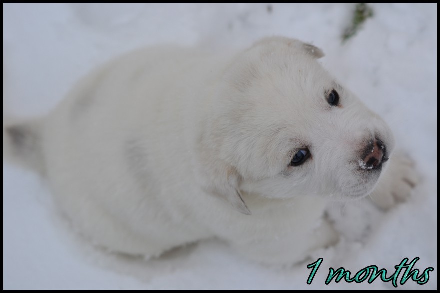 aitra-kapehapan-1mo.jpg
