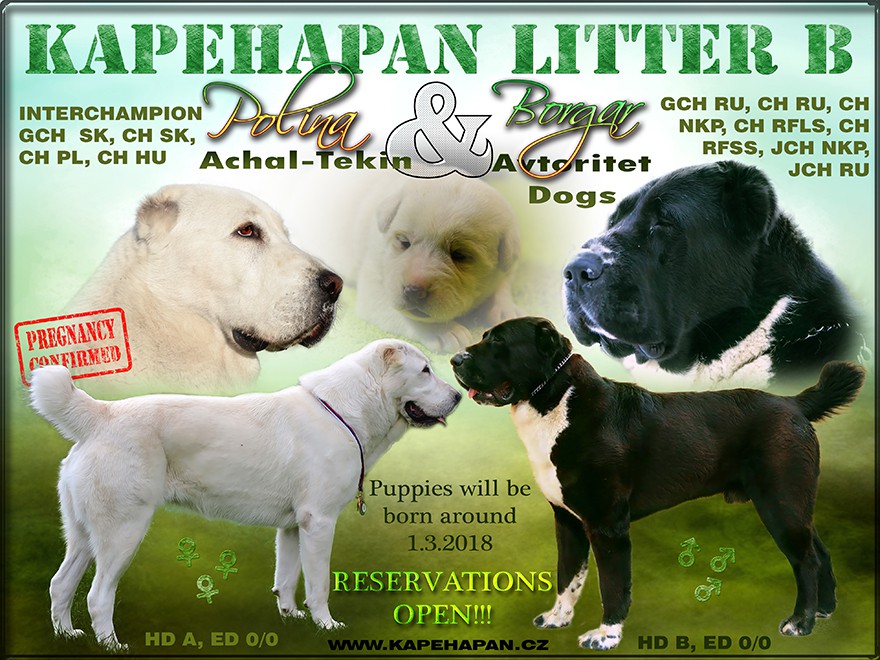 litter-b-small.jpg